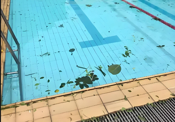 游泳池余氯在線水質(zhì)檢測儀
